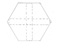 Hexagon lg 82mm - 3135